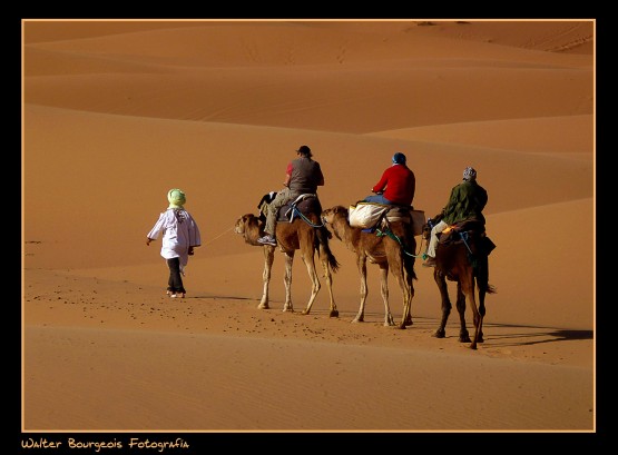 Foto 3/Curiosidades del desierto...