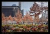 Memorial - 11 S - New York - EEUU