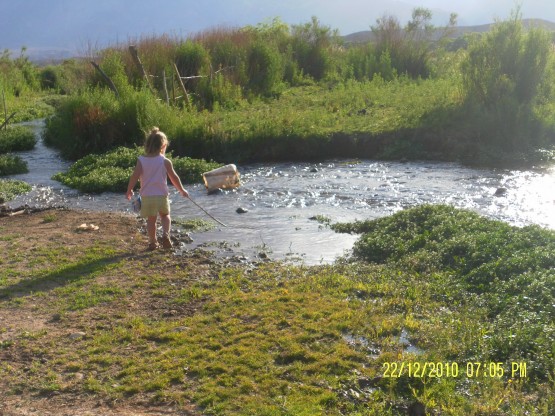 Foto 4/Mendoza.(Argentina)