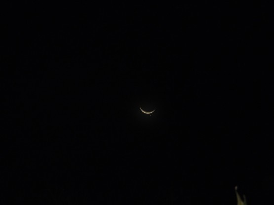 Foto 1/Luna y Venus