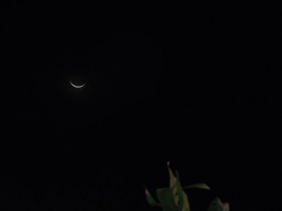 Foto 2/Luna y Venus