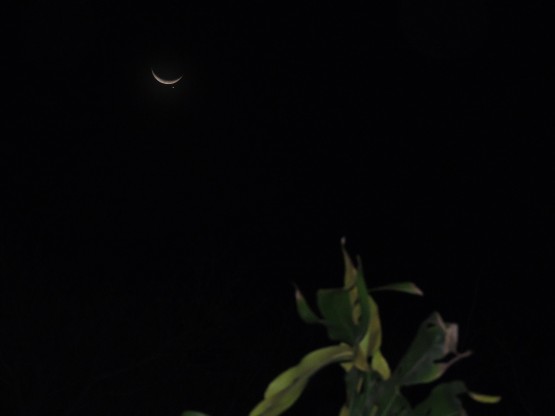 Foto 3/Luna y Venus