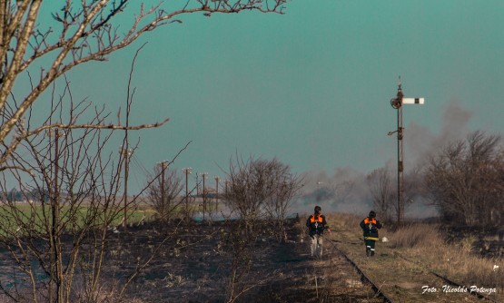 Foto 3/Bomberos de mi pueblo.