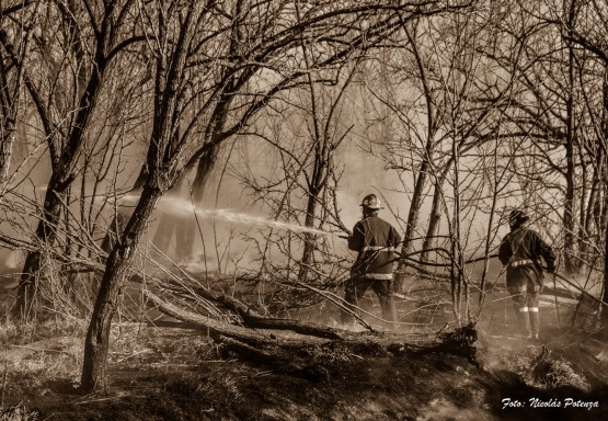 Foto 5/Bomberos de mi pueblo.