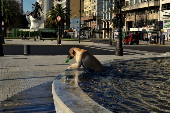 Foto 2/los domingos... Bao!!!