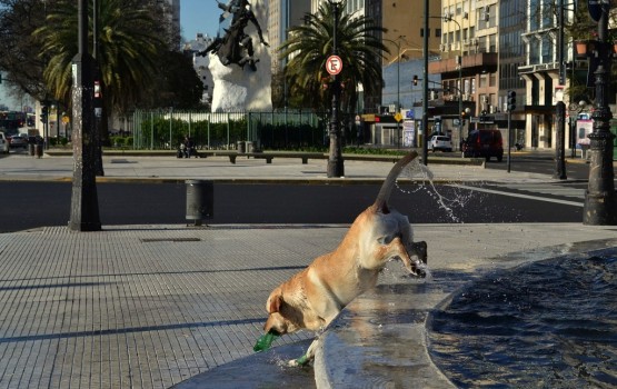 Foto 3/los domingos... Bao!!!