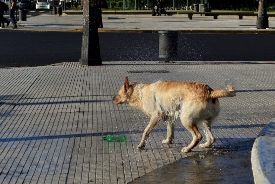 Foto 4/los domingos... Bao!!!