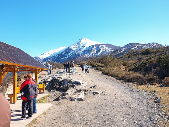 Foto 2/Camino al Glaciar Perito Moreno