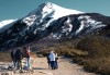 Camino al Glaciar Perito Moreno