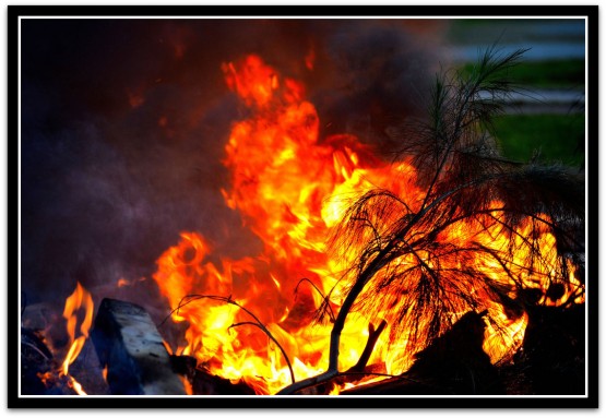 Foto 5/Protesta