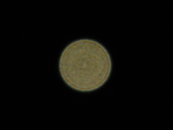 Foto 4/Mi aproximacin a Venus