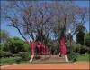 Plaza Italia color magenta