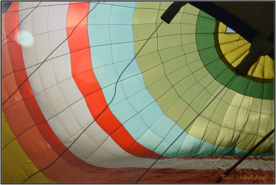 Foto 4/El placer de volar!!!!