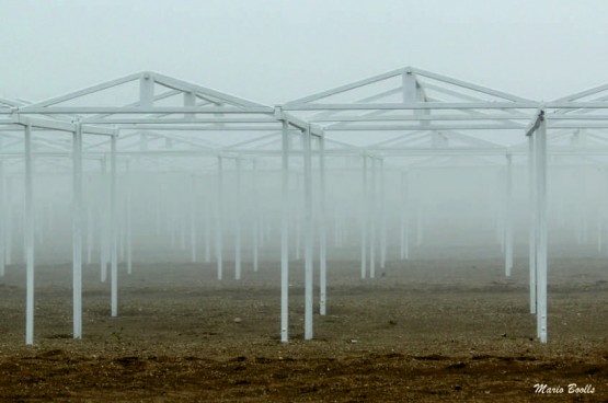 Foto 1/Niebla en Mar del Plata