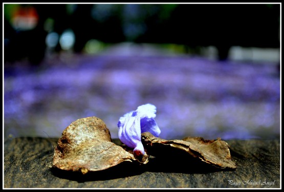 Foto 5/Un ciclo