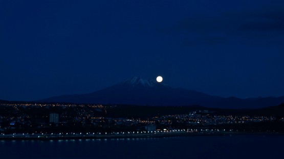 Foto 4/asomando lunita...