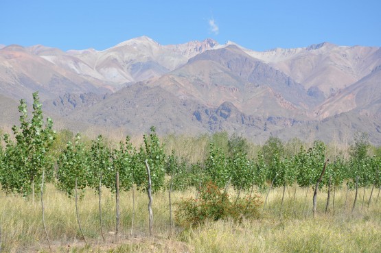 Foto 2/Uspallata (Mendoza)