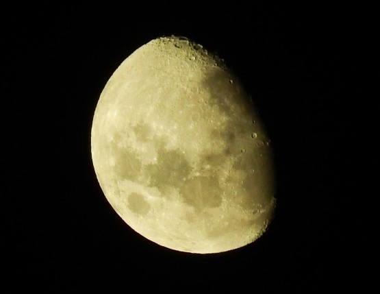 Foto 4/Mi Luna est en Cuarto Creciente