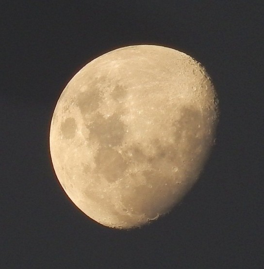 Foto 5/Mi Luna est en Cuarto Creciente