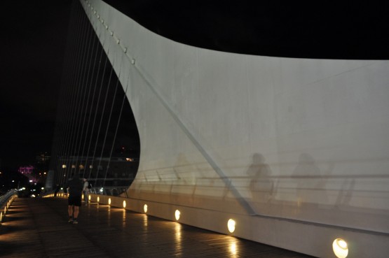 Foto 4/Puente de la Mujer de Noche