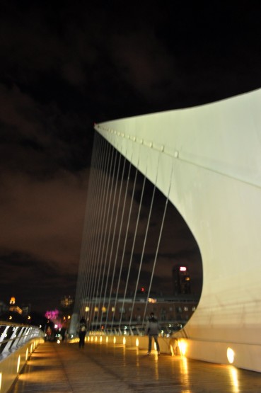 Foto 5/Puente de la Mujer de Noche