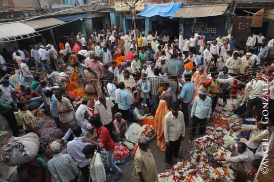 Foto 1/`Mercado de flores en La India`