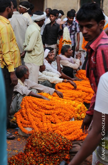 Foto 2/`Mercado de flores en La India`