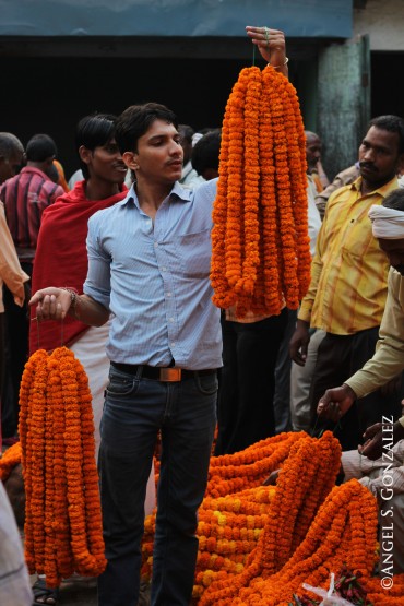 Foto 3/`Mercado de flores en La India`