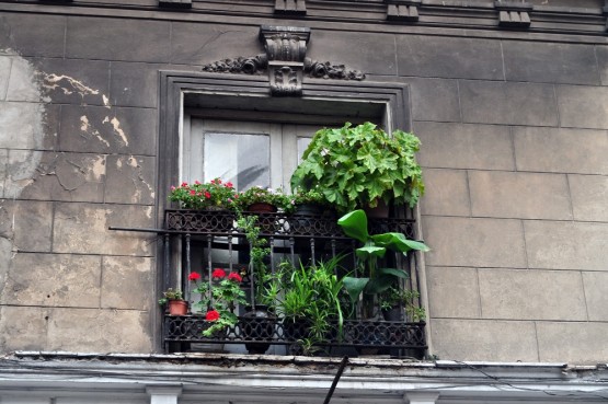 Foto 1/Balcones de San Telmo