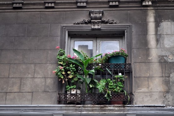 Foto 2/Balcones de San Telmo