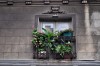 Balcones de San Telmo