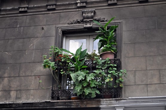 Foto 3/Balcones de San Telmo