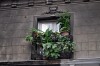 Balcones de San Telmo