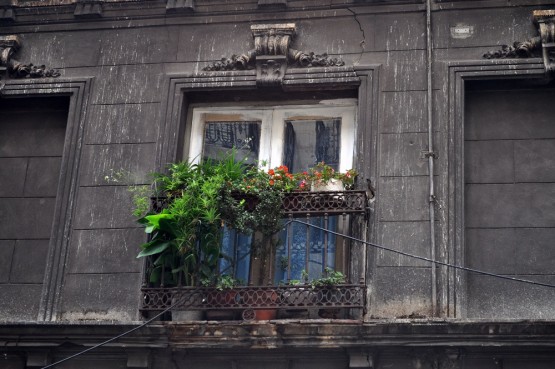 Foto 4/Balcones de San Telmo