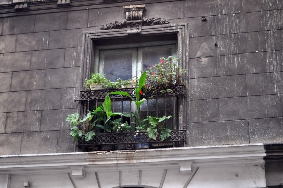 Foto 5/Balcones de San Telmo