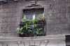 Balcones de San Telmo