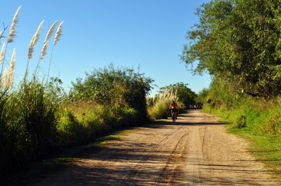 Foto 1/Una Maana en la Reserva Ecolgica