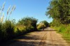 Una Maana en la Reserva Ecolgica