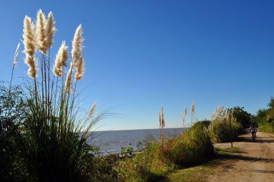 Foto 2/Una Maana en la Reserva Ecolgica