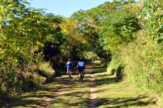 Foto 3/Una Maana en la Reserva Ecolgica