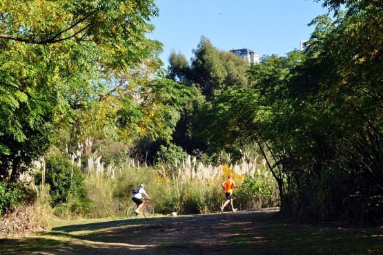 Foto 4/Una Maana en la Reserva Ecolgica