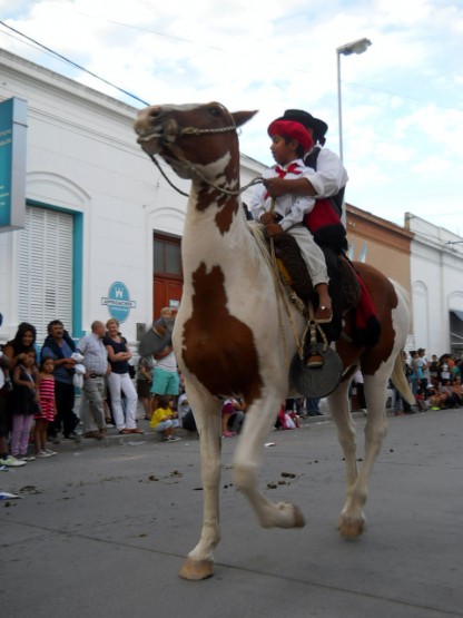 Foto 3/desfile gaucho