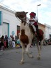 desfile gaucho