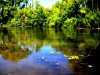 naturaleza reflejada