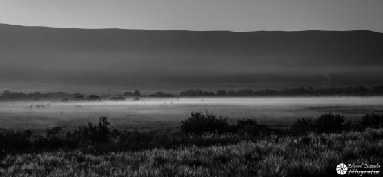 Foto 1/Bruma Matinal