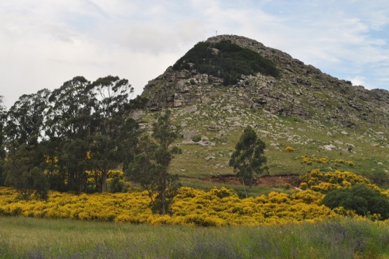 Foto 1/Al pie de la Sierra La Barrosa...