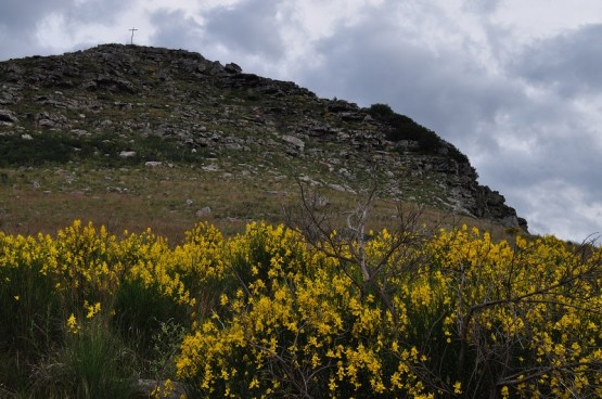 Foto 3/Al pie de la Sierra La Barrosa...