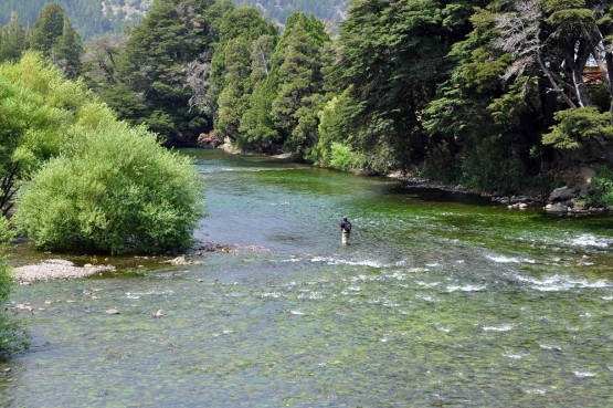 Foto 5/Un da de verano en el Lago Lolog....