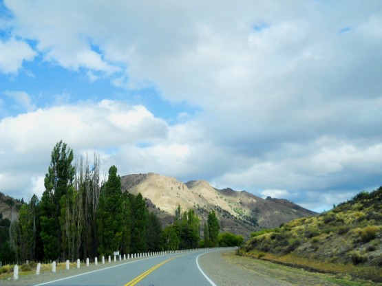 Foto 5/camino a bariloche...