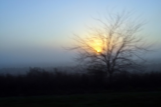 Foto 3/Niebla...